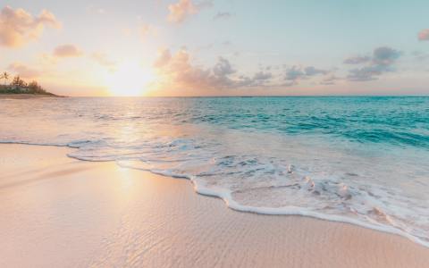 营销型网站建设的核心策略（探讨营销型网站建设的关键策略）