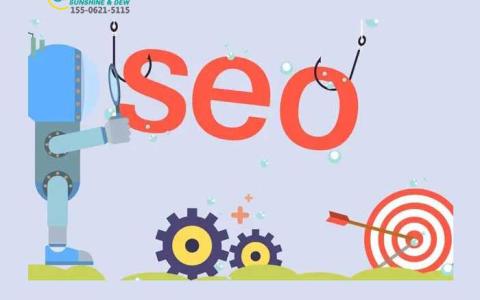 苏州SEO优化分析助力企业发展(提高网站可见度)
